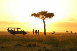 kenya masai mara eagle view camp23