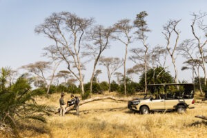 zambia kafue national park busanga bush camp26