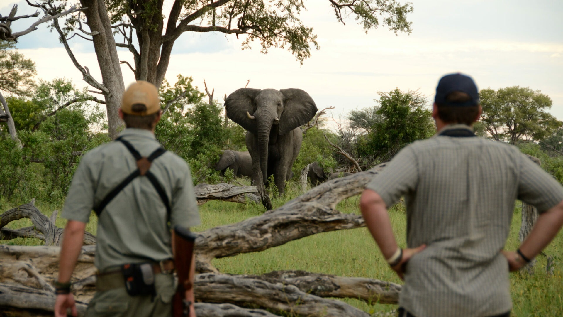 zimbabwe hwange camelthorn lodge11