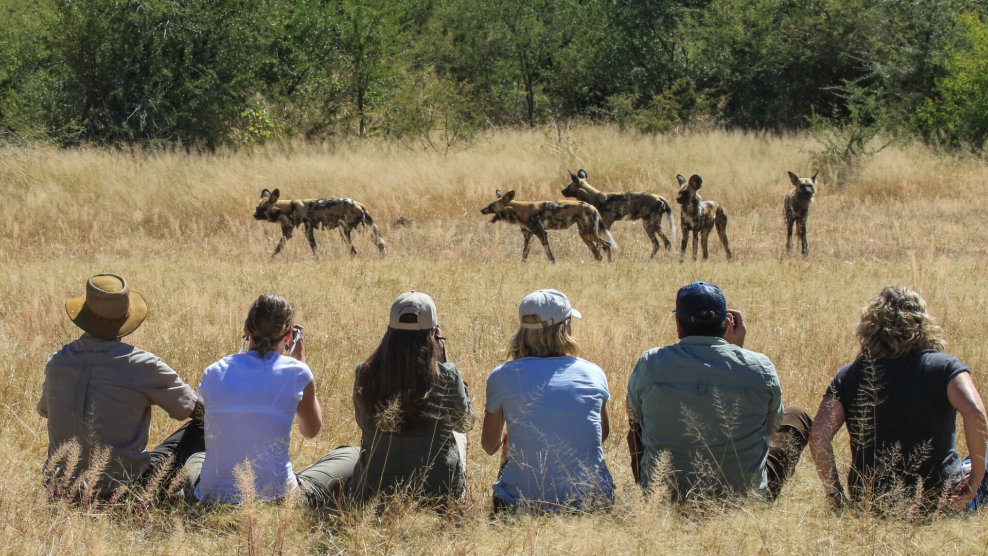 zimbabwe hwange camelthorn lodge12