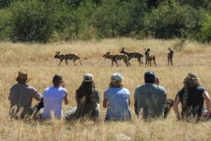 zimbabwe hwange camelthorn lodge12