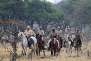zimbabwe hwange camelthorn lodge21
