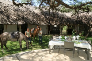 zimbabwe hwange camelthorn lodge23