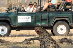 zimbabwe hwange camelthorn lodge9