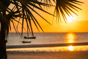 AZURA MARLIN BEACH Scenery 7
