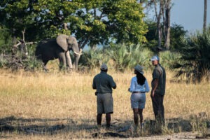 malawi liwonde national park kuthengo lodge1