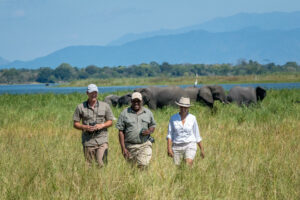 malawi liwonde national park kuthengo lodge10