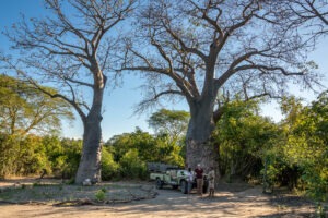 malawi liwonde national park kuthengo lodge11