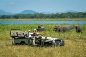 malawi liwonde national park kuthengo lodge13