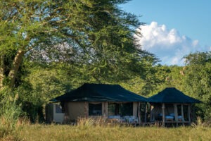 malawi liwonde national park kuthengo lodge7