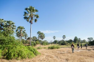malawi liwonde national park mvuu lodge 13