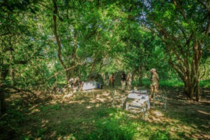 malawi liwonde national park mvuu lodge 14