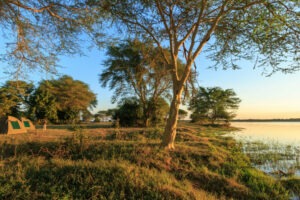 malawi liwonde national park mvuu lodge 18