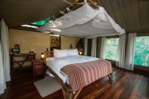 malawi liwonde national park mvuu lodge 2