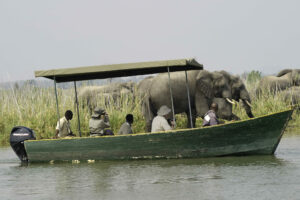 malawi liwonde national park mvuu lodge 29