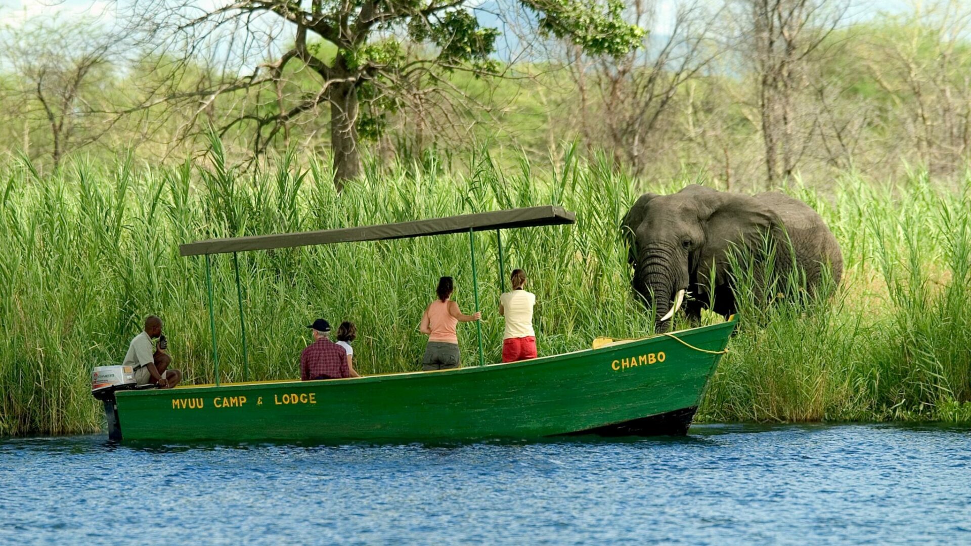 malawi liwonde national park mvuu lodge 36