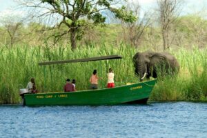 malawi liwonde national park mvuu lodge 36