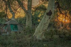 malawi liwonde national park mvuu lodge 4