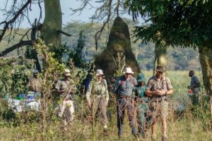 malawi liwonde national park mvuu lodge 5