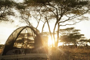 tanzania eastern serengeti omara camp72
