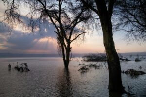 tanzania lake eyasi kisima ngeda camp42
