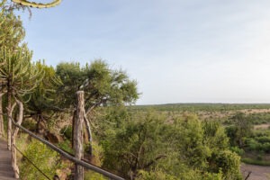 botswana northern tuli mashatu game reserve euphorbia mashatu villas12