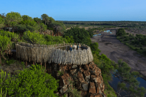 botswana northern tuli mashatu game reserve euphorbia mashatu villas18