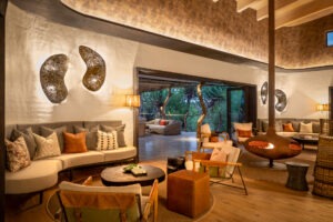botswana northern tuli mashatu game reserve euphorbia mashatu villas2