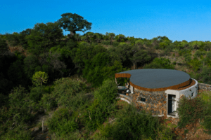 botswana northern tuli mashatu game reserve euphorbia mashatu villas21