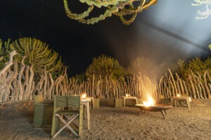 botswana northern tuli mashatu game reserve euphorbia mashatu villas28