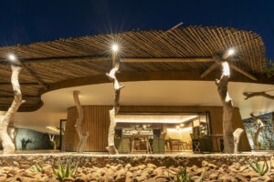 botswana northern tuli mashatu game reserve euphorbia mashatu villas31