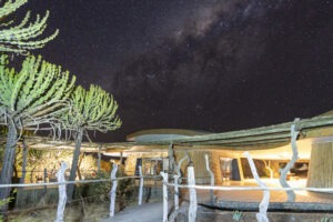 botswana northern tuli mashatu game reserve euphorbia mashatu villas32