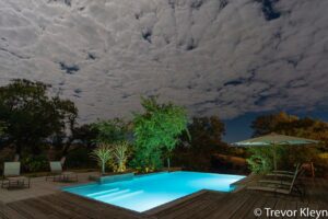 botswana northern tuli mashatu game reserve mashatu lodge13