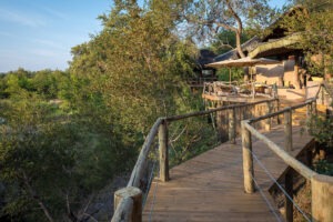 botswana northern tuli mashatu game reserve mashatu lodge20