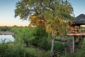 botswana northern tuli mashatu game reserve mashatu lodge21