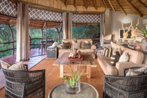 botswana northern tuli mashatu game reserve mashatu lodge22