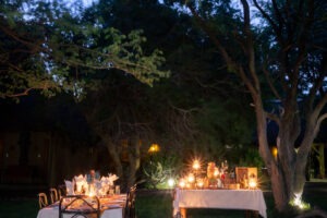 botswana northern tuli mashatu game reserve mashatu lodge25