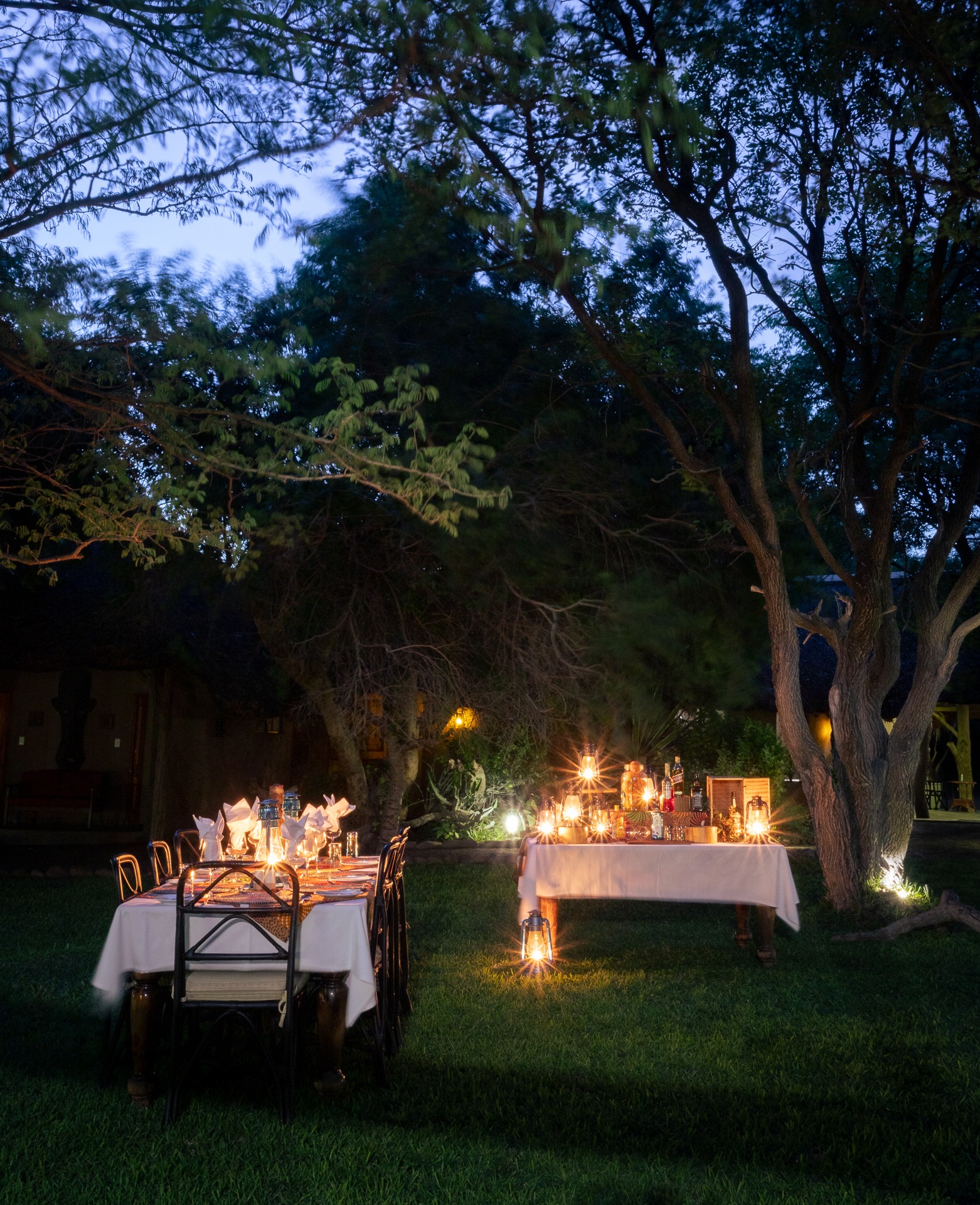 botswana northern tuli mashatu game reserve mashatu lodge25