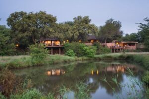 botswana northern tuli mashatu game reserve mashatu lodge28