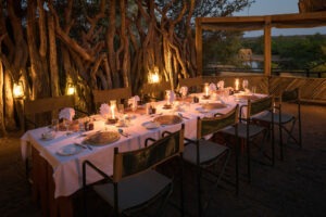 botswana northern tuli mashatu game reserve mashatu lodge3