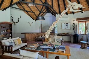 botswana northern tuli mashatu game reserve mashatu lodge9
