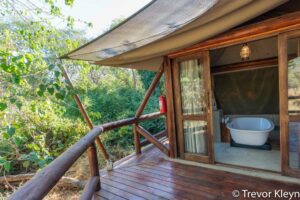 botswana northern tuli mashatu game reserve tuli safari lodge13