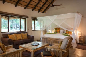 botswana northern tuli mashatu game reserve tuli safari lodge17