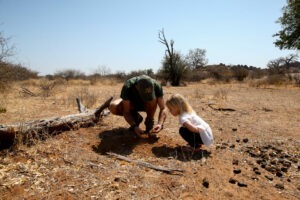 botswana northern tuli mashatu game reserve tuli safari lodge24