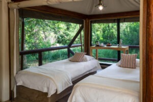 botswana northern tuli mashatu game reserve tuli safari lodge28