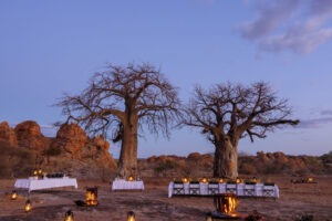 botswana northern tuli mashatu game reserve tuli safari lodge3