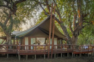 botswana northern tuli mashatu game reserve tuli safari lodge32