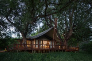 botswana northern tuli mashatu game reserve tuli safari lodge33