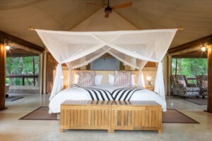 botswana northern tuli mashatu game reserve tuli safari lodge35