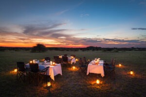 botswana northern tuli mashatu game reserve tuli safari lodge39